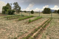 IMG_9646