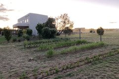 IMG_9740